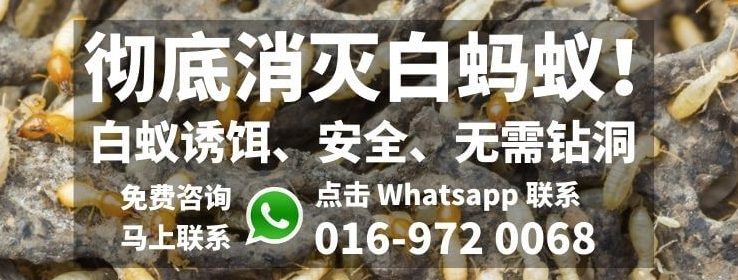 ableddin termite control johor bahru e696b0e5b1b1e6b688e781ade799bde89a81e4b893e5aeb6 anai anai