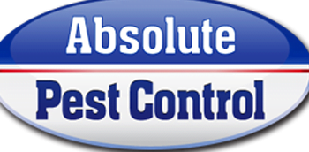 absolute pest control pd