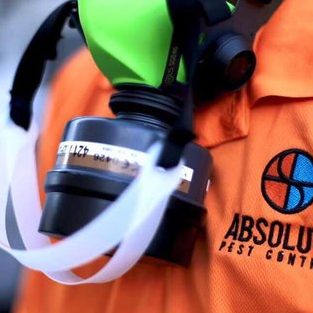 Absolute Pest Control Sdn Bhd 1 absolute pest control sdn bhd
