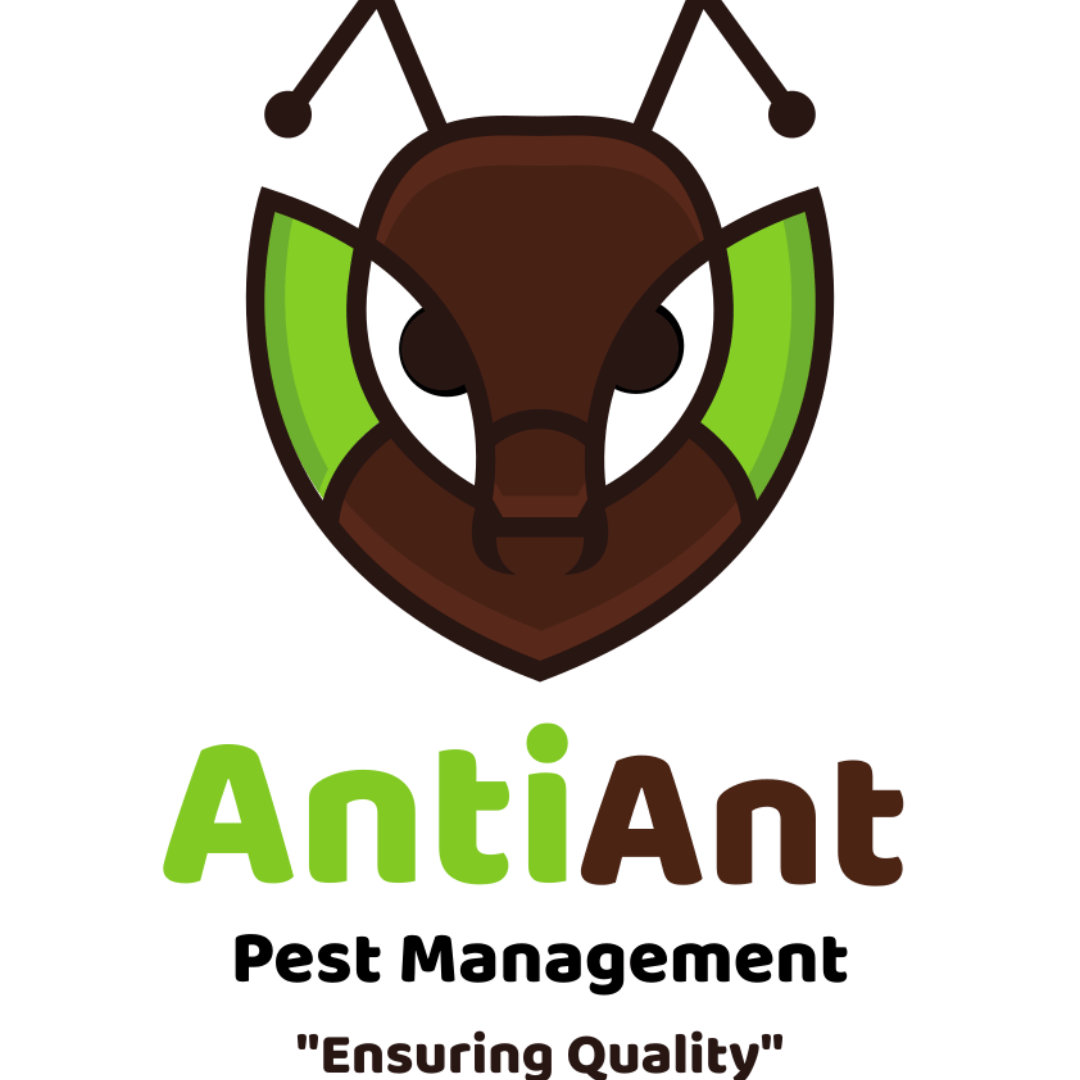 AntiAnt Pest Control Klang Valley - Selangor 1 antiant pest control klang valley selangor