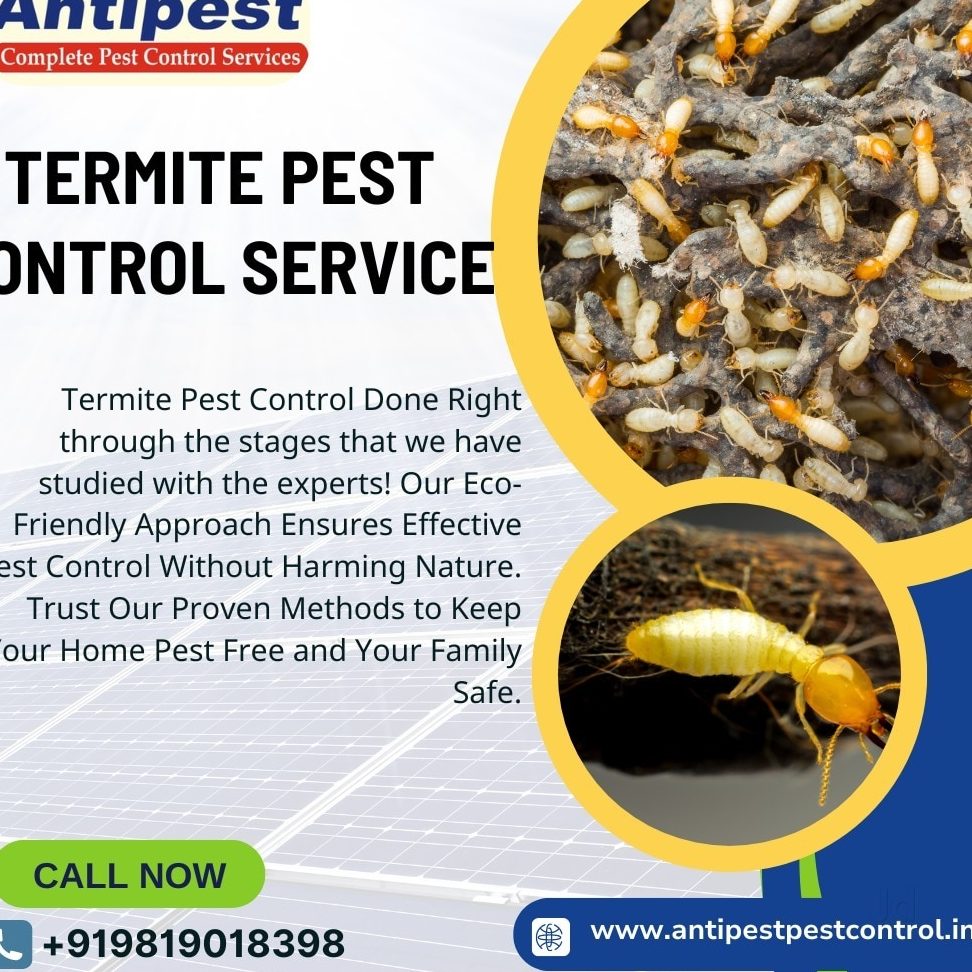 antipest hygiene enterprise