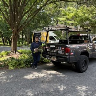 BC Pest Control (M) Service 1 bc pest control m service