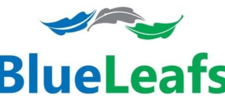 Blueleafs (M) Sdn Bhd 1 blueleafs m sdn bhd