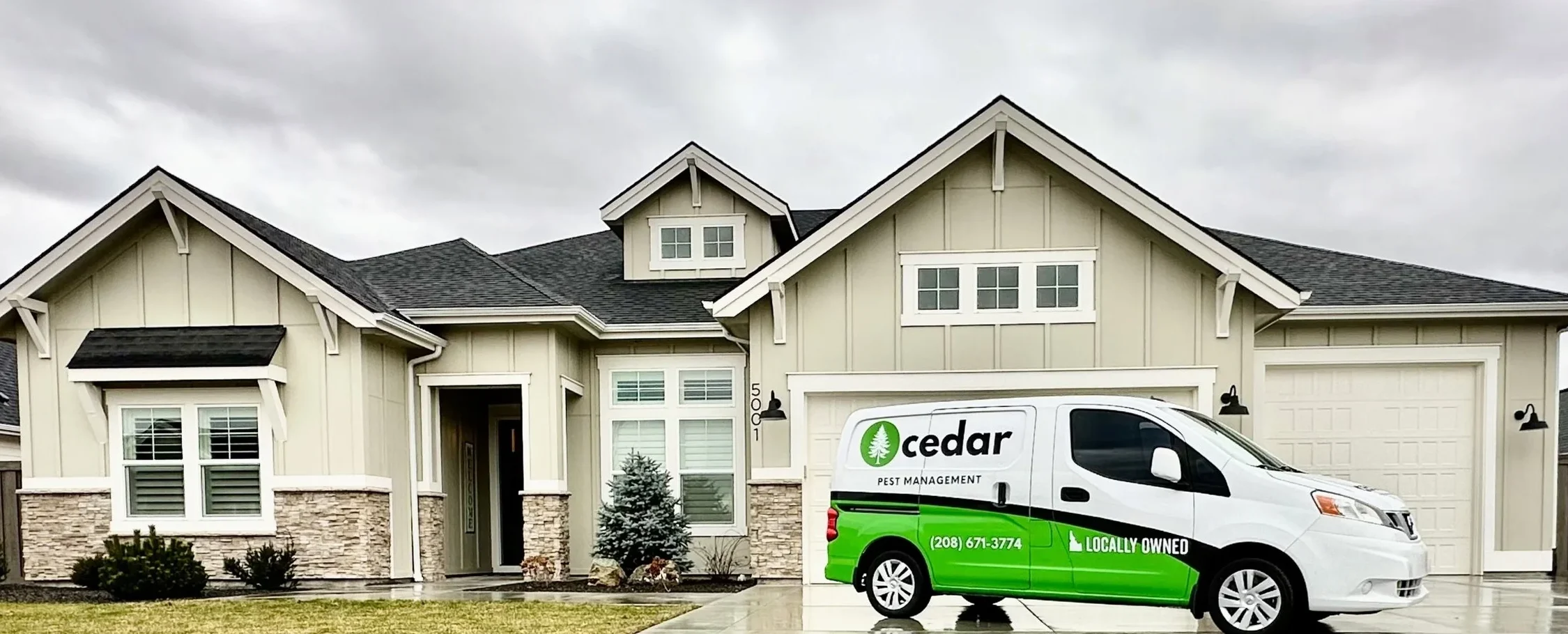 cedar pest management