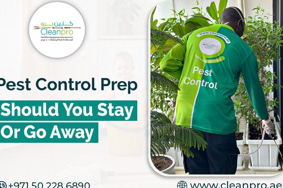 Cleanpro Pest Control 1 cleanpro pest control