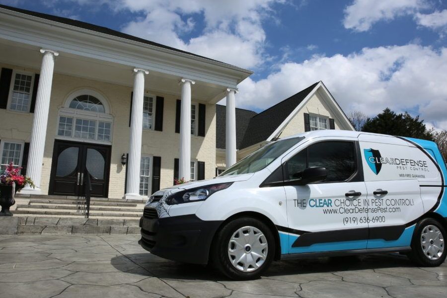 Clear Pest Control & Services 1 clear pest control services