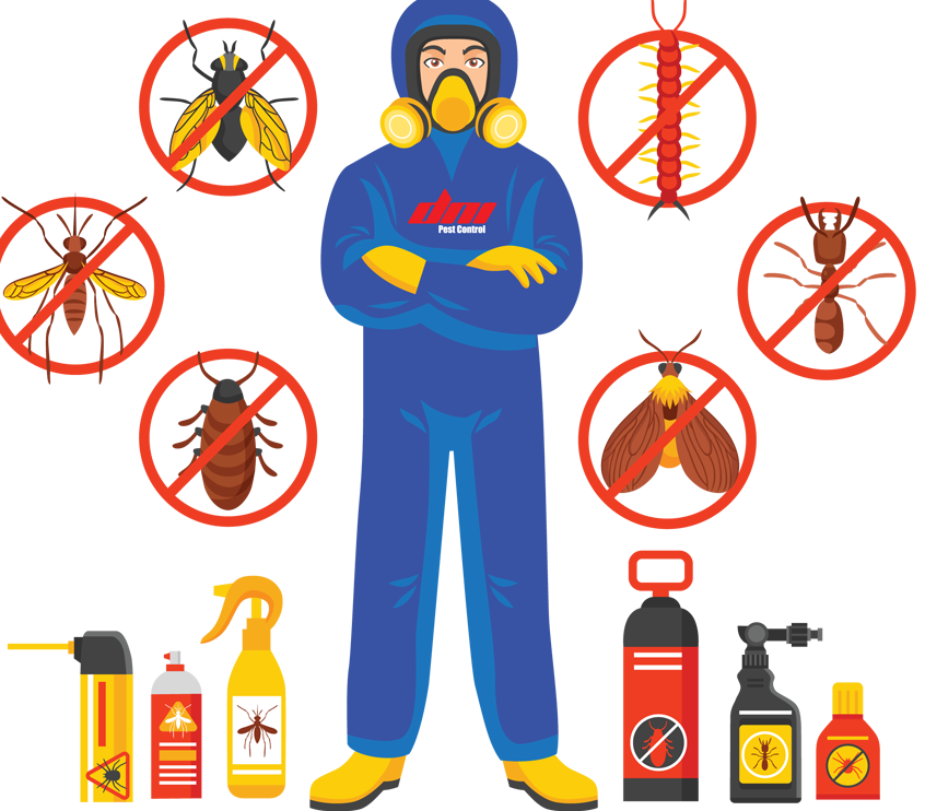 dni pest control service