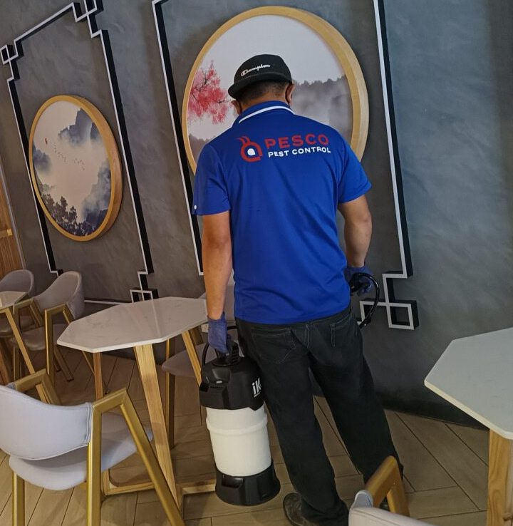 edge pest control service johor