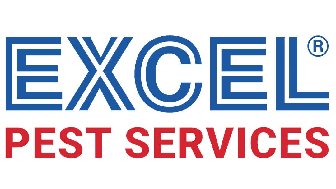 excel pest control services
