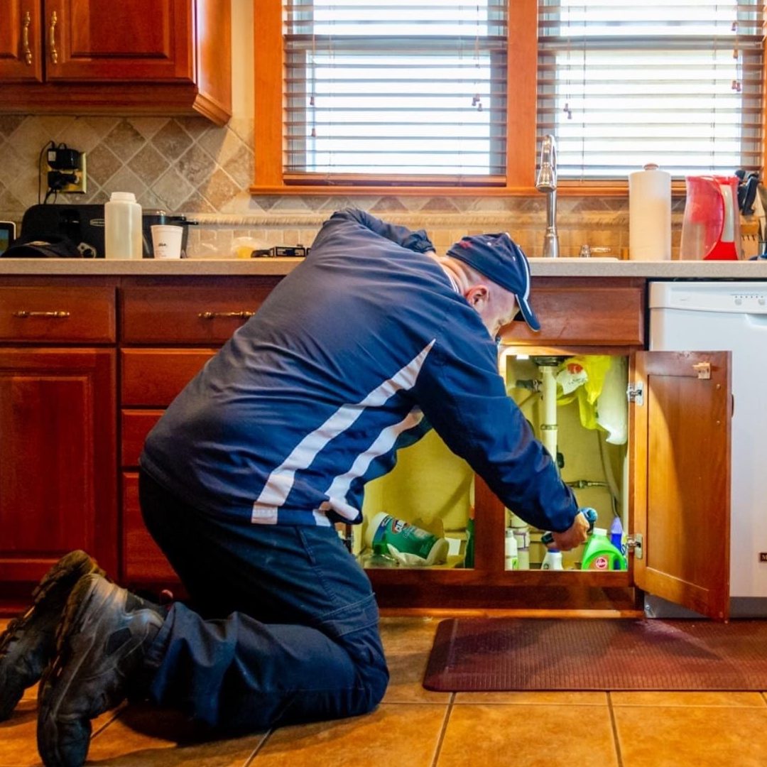 EXPERT PEST CONTROL 1 expert pest control