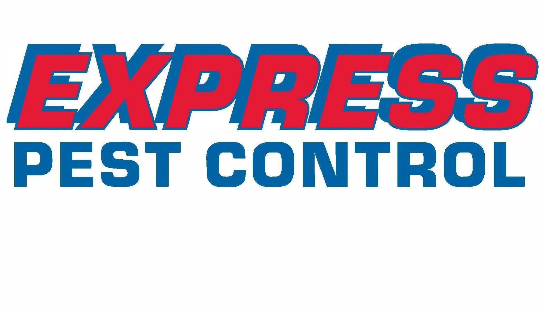 Express Pest Control 1 express pest control