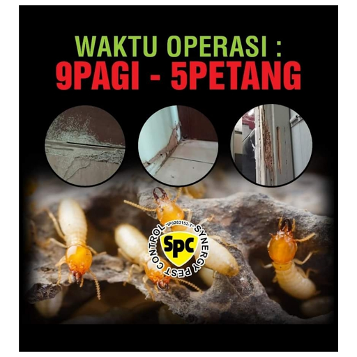 Synergy Pest Control