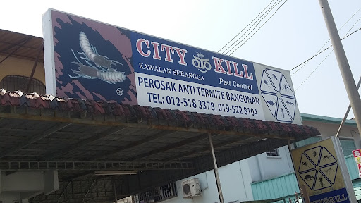 City Kill