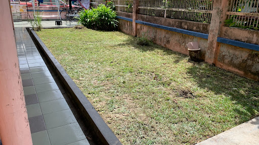 JoJo Garden Services JoJo Garden Services