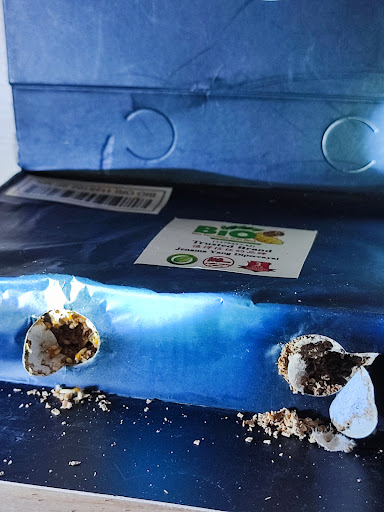 Bio Termites Sdn Bhd 生物环保白蚁专家