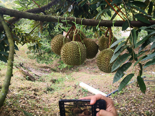 HCS Agrochem Sdn.Bhd.