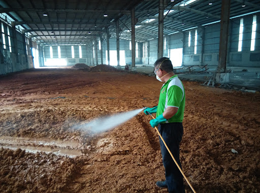DBug Pest Management DBug Pest Management