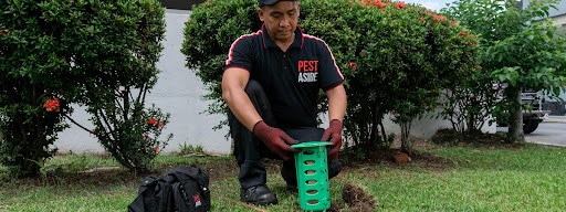 Pest Aside Pest Control Services Sdn Bhd Pest Aside Pest Control Services Sdn Bhd