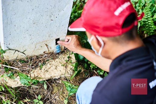 TPest Solution Sdn Bhd (Sarawak)