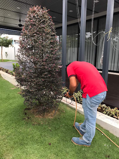 William Wong Pest Control Specialist