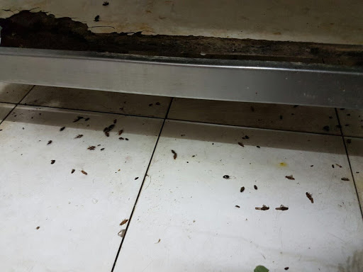 Pest Edge Control Pest Edge Control