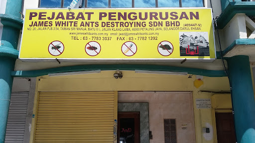 James White Ants Destroying Sdn Bhd