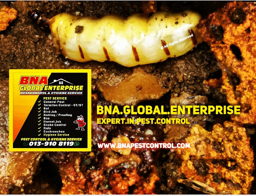 BNA GLOBAL ENTERPRISE
