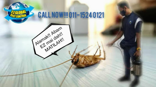 Ez Global Pest Control