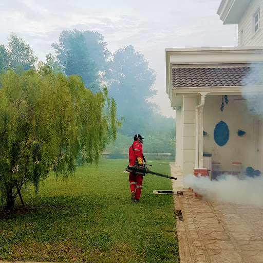 Pangolin Pest Control Service Pangolin Pest Control Service