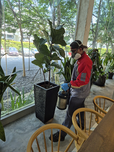 Rentokil Pest Control Malaysia - Klang Valley Rentokil Pest Control Malaysia - Klang Valley