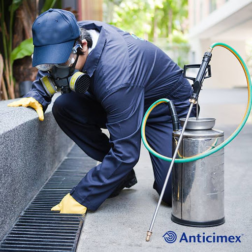 Anticimex Malaysia - Klang Valley