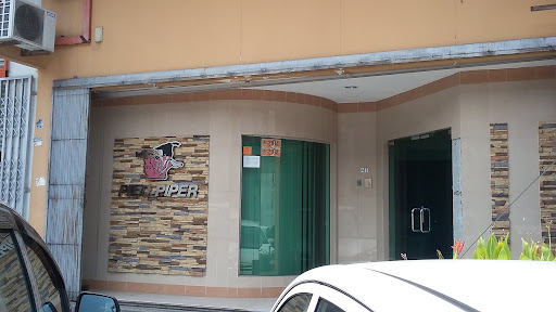 Pied Piper Pest Control Johor