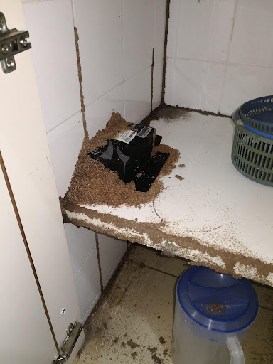 Bio Termites Control Johor Bahru Bio Termites Control Johor Bahru