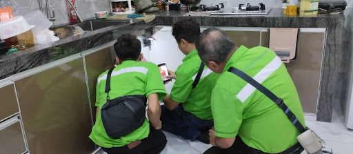 Bio Termites Daniel Lee 新山消灭白蚁专家