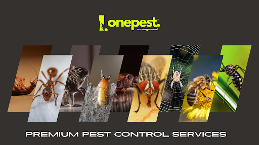 One Pest Management One Pest Management