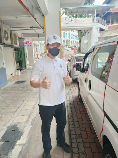 Star Bugs Pest Management Star Bugs Pest Management