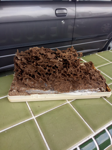 Rizq Pest Management