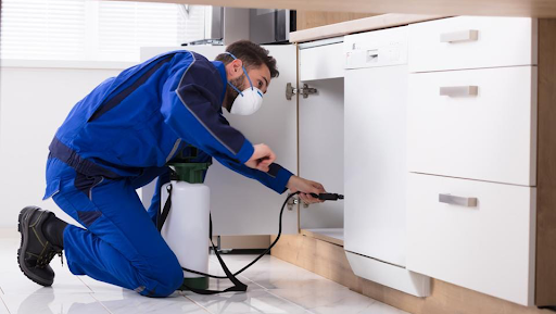 Zero Pest Management - Termite & Pest Control Zero Pest Management - Termite & Pest Control
