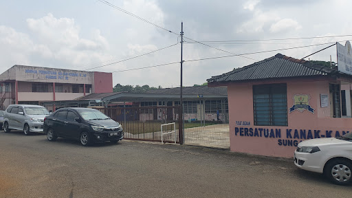 Termites Jacky pest control Kedah 灭白蚁专家