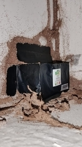 Bio Termites Control BUTTERWORTH Bio Termites Control BUTTERWORTH