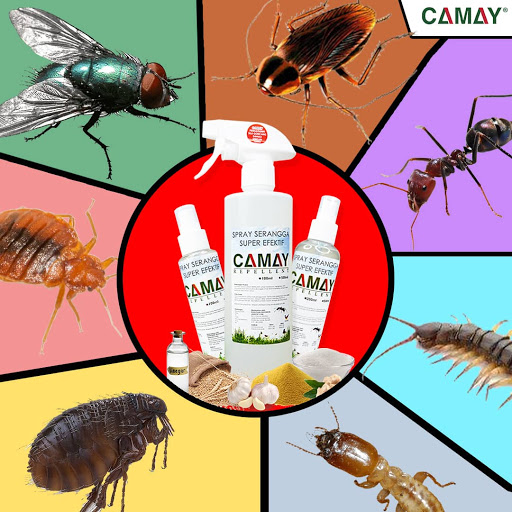 LEGASI GEROBOK FATIMAH AZZAHRA