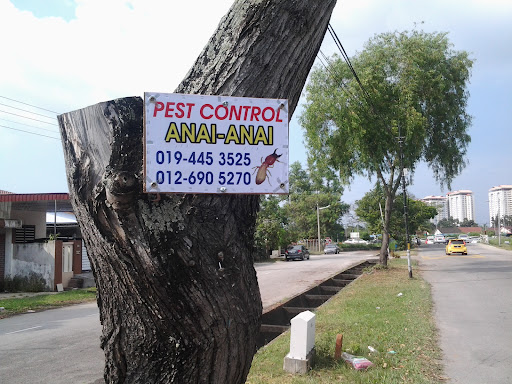 Kulim Pest Control