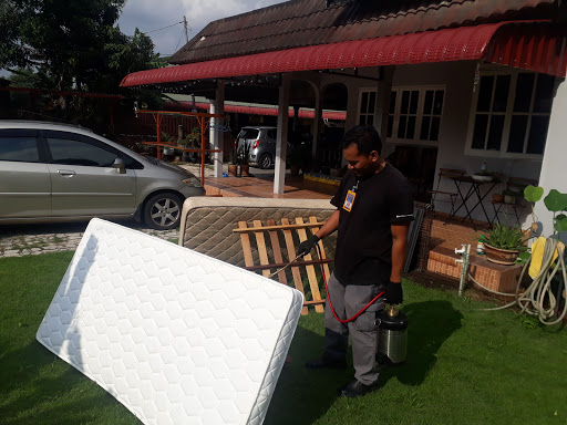 WanPro Services Pest Control Kelantan
