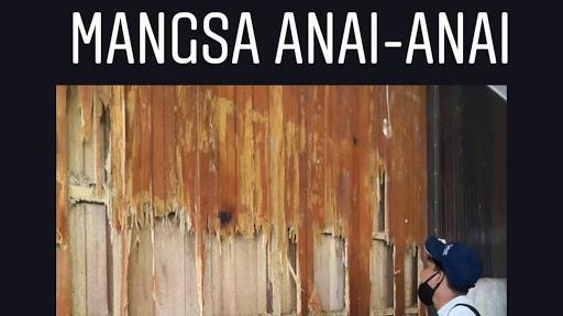 WARZ Pakar Racun Anai-Anai