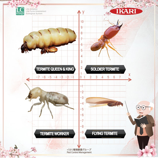 IKARI SHODOKU MALAYSIA SDN BHD IKARI SHODOKU MALAYSIA SDN BHD