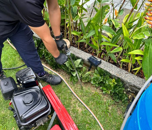 Pro Termite Control Malaysia Pro Termite Control Malaysia