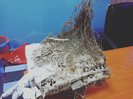 Excel Pest Control Services