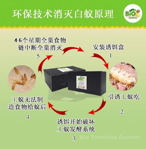 马六甲免费白蚁检查 BIO TERMITES MELAKA CHIN 马六甲免费白蚁检查 BIO TERMITES MELAKA CHIN