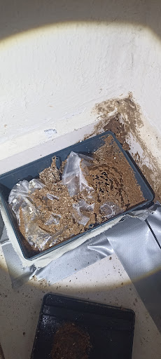 GPest Solutions (M) Sdn Bhd