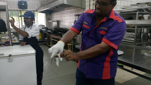 Expert Pest Control (HQ) Expert Pest Control (HQ)